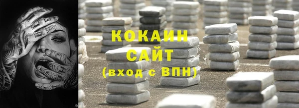 гашик Ладушкин