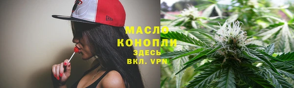 гашик Ладушкин