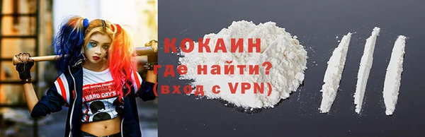 гашик Ладушкин