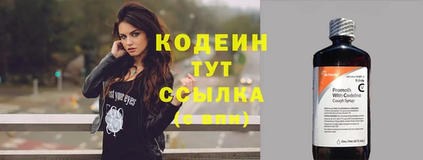 гашик Ладушкин