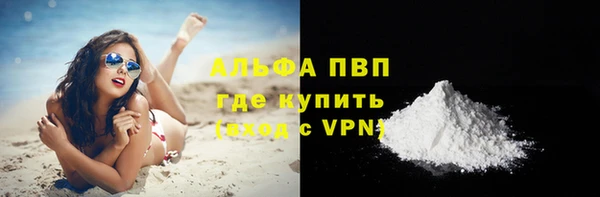 гашик Ладушкин