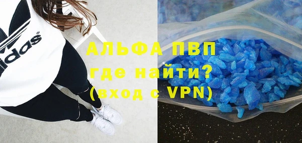 гашик Ладушкин