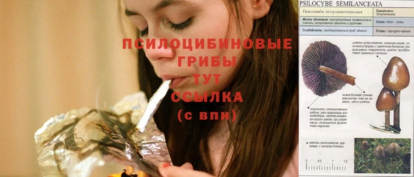 каннабис Лабытнанги